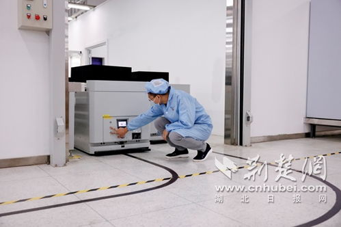 武漢電信與烽火通信攜手打造雙5G智慧工廠 開(kāi)啟互聯(lián)網(wǎng)技術(shù)與設(shè)備銷(xiāo)售新篇章